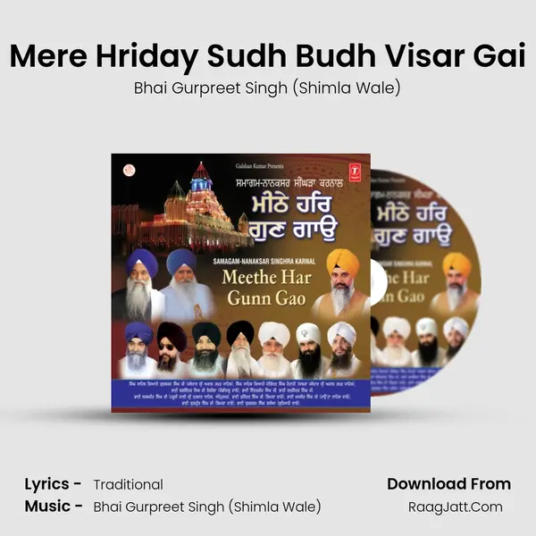 Mere Hriday Sudh Budh Visar Gai Song mp3 | Bhai Gurpreet Singh (Shimla Wale)