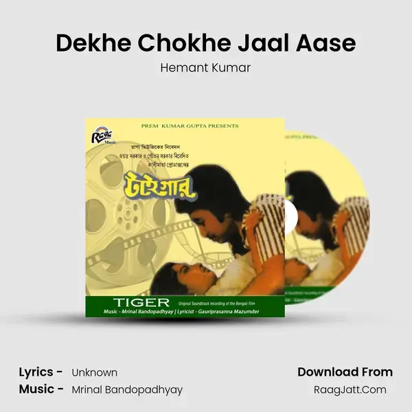 Dekhe Chokhe Jaal Aase mp3 song