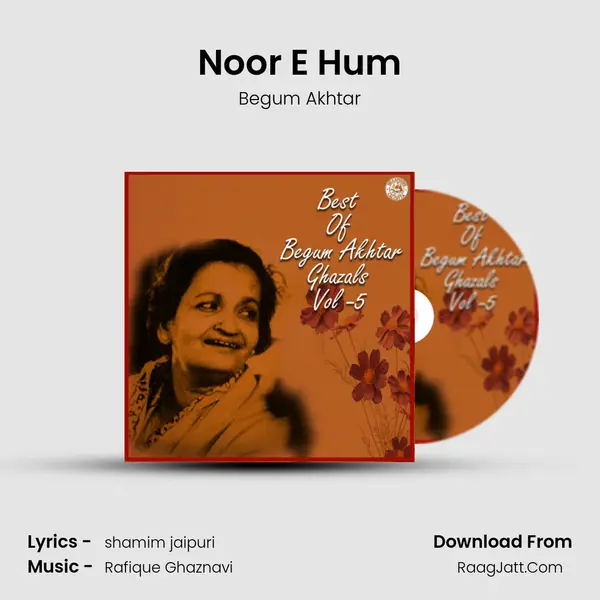 Noor E Hum mp3 song