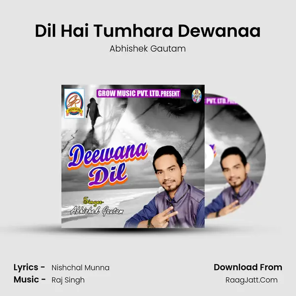 Dil Hai Tumhara Dewanaa mp3 song