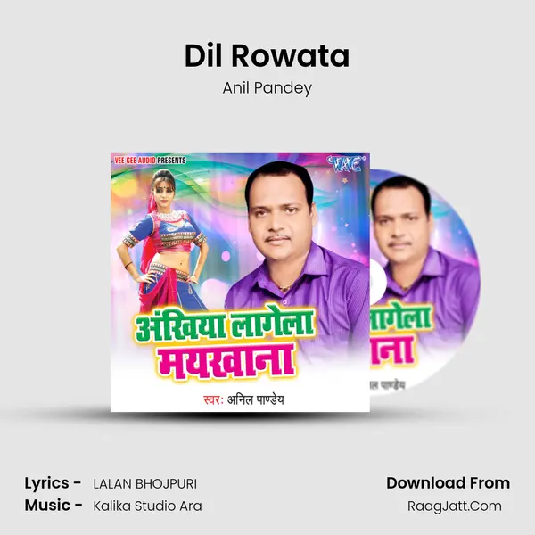 Dil Rowata mp3 song