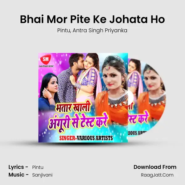 Bhai Mor Pite Ke Johata Ho Song mp3 | Pintu