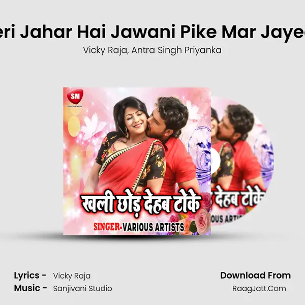 Meri Jahar Hai Jawani Pike Mar Jayega mp3 song