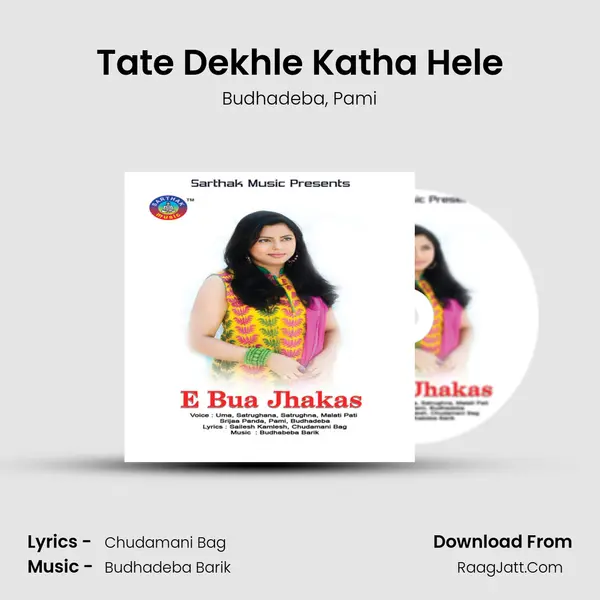 Tate Dekhle Katha Hele Song mp3 | Budhadeba