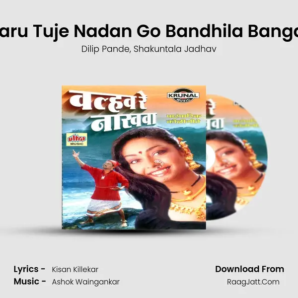 Paaru Tuje Nadan Go Bandhila Bangala Song mp3 | Dilip Pande