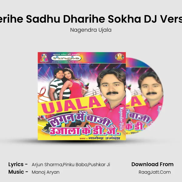 Gherihe Sadhu Dharihe Sokha DJ Version mp3 song