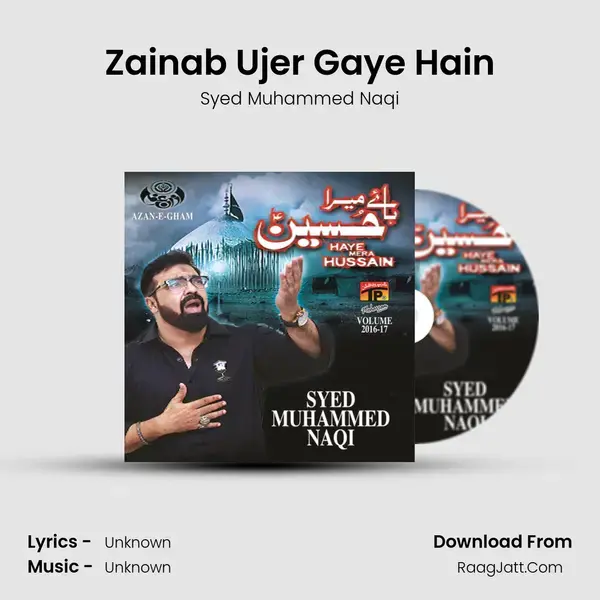 Zainab Ujer Gaye Hain Song mp3 | Syed Muhammed Naqi