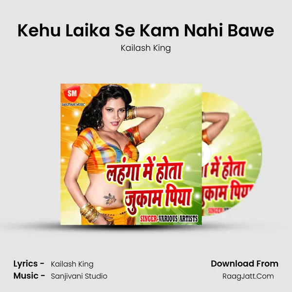 Kehu Laika Se Kam Nahi Bawe Song mp3 | Kailash King