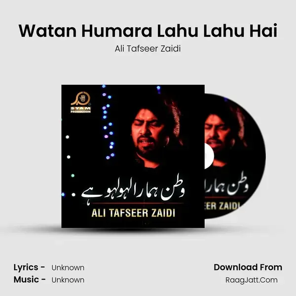 Watan Humara Lahu Lahu Hai mp3 song