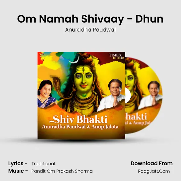 Om Namah Shivaay - Dhun mp3 song