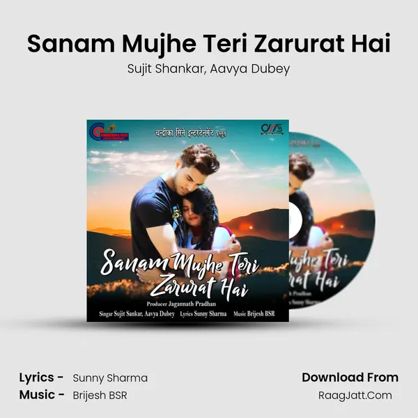 Sanam Mujhe Teri Zarurat Hai mp3 song