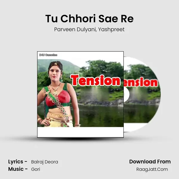 Tu Chhori Sae Re mp3 song