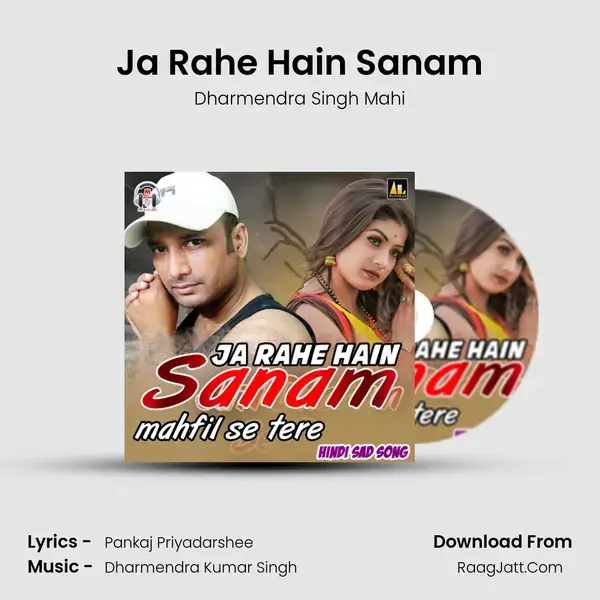 Ja Rahe Hain Sanam mp3 song