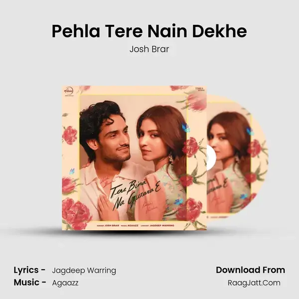 Tere Bina Na Guzara E - Josh Brar