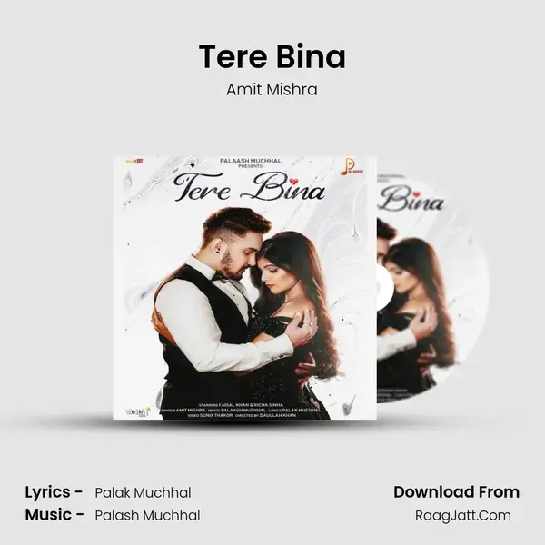 Tere Bina mp3 song