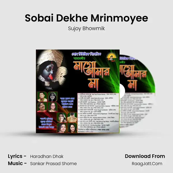 Sobai Dekhe Mrinmoyee mp3 song