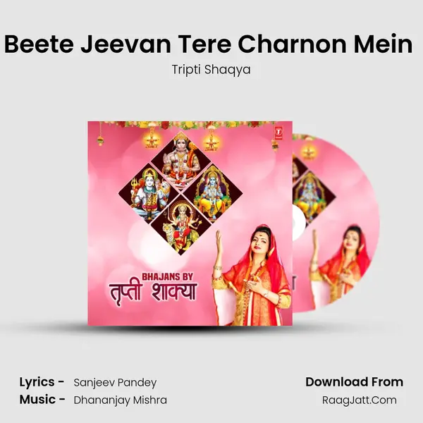 Beete Jeevan Tere Charnon Mein (From Beete Jeevan Tere Charnon Mein) mp3 song