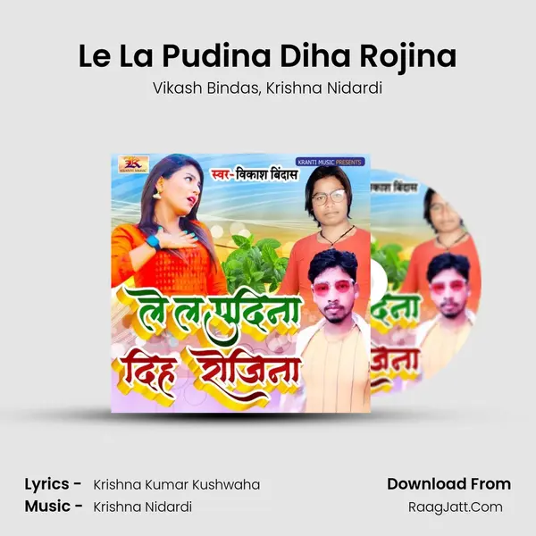 Le La Pudina Diha Rojina Song mp3 | Vikash Bindas