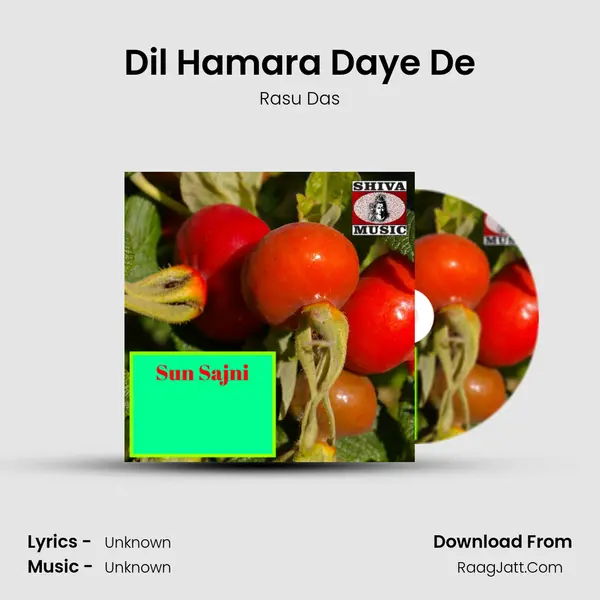 Dil Hamara Daye De Song mp3 | Rasu Das