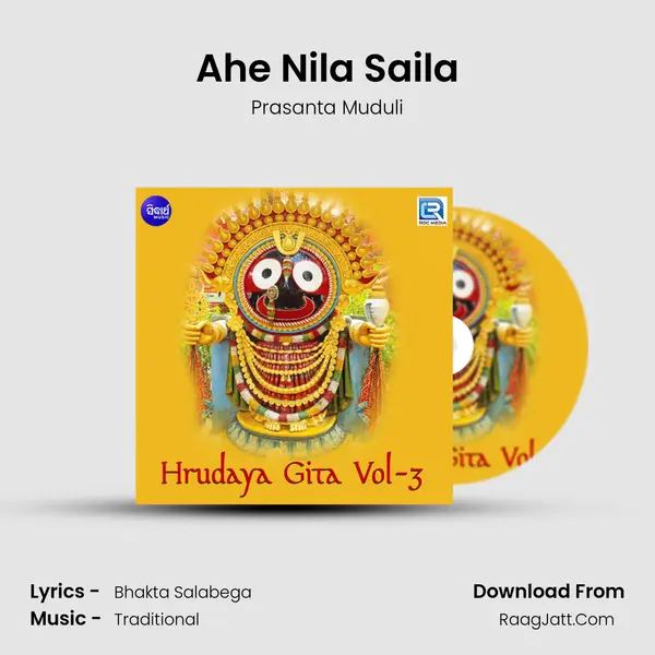 Ahe Nila Saila Song mp3 | Prasanta Muduli