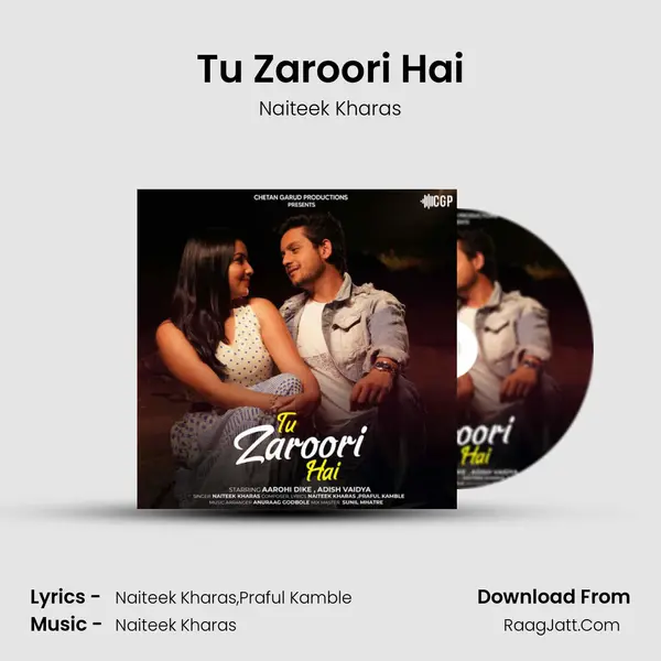 Tu Zaroori Hai mp3 song