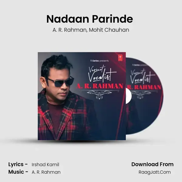 Nadaan Parinde (From Rockstar) mp3 song