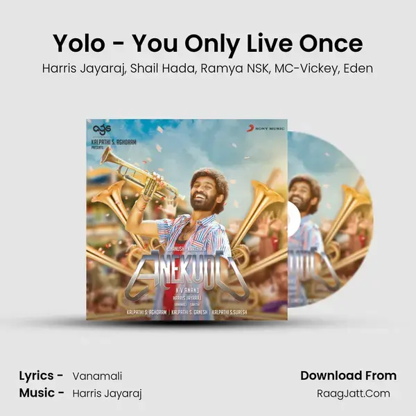 Yolo - You Only Live Once mp3 song