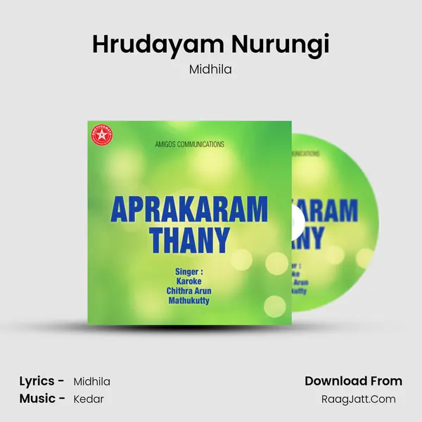 Hrudayam Nurungi Song mp3 | Midhila