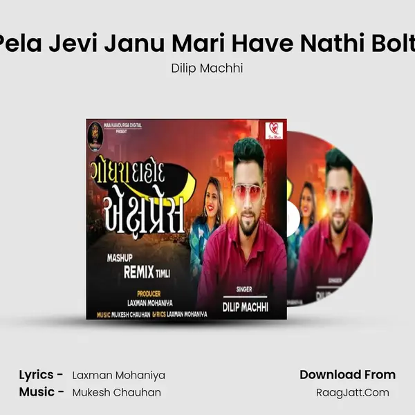 Pela Jevi Janu Mari Have Nathi Bolti mp3 song