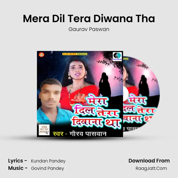 Mera Dil Tera Diwana Tha mp3 song