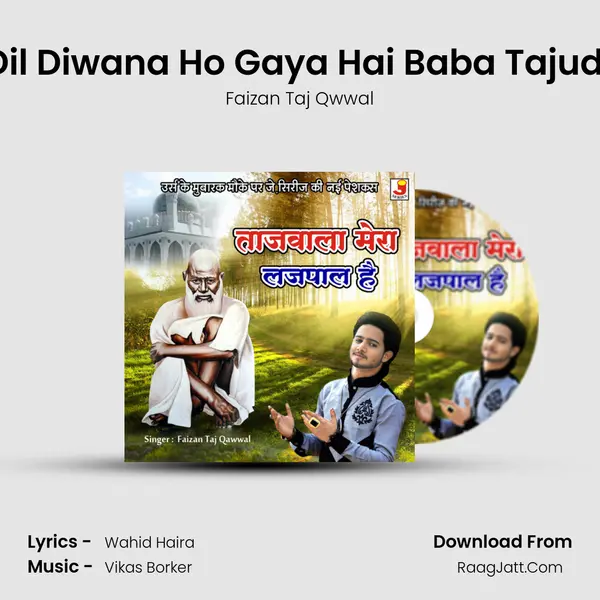 Mera Dil Diwana Ho Gaya Hai Baba Tajuddin Ka mp3 song