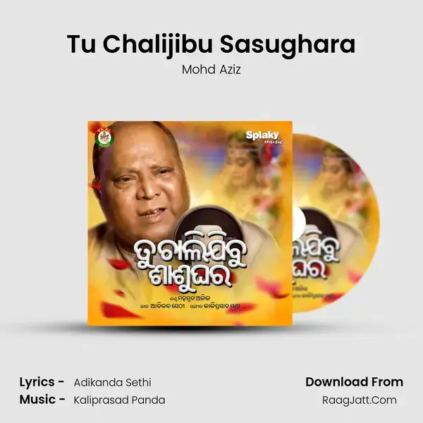 Tu Chalijibu Sasughara mp3 song