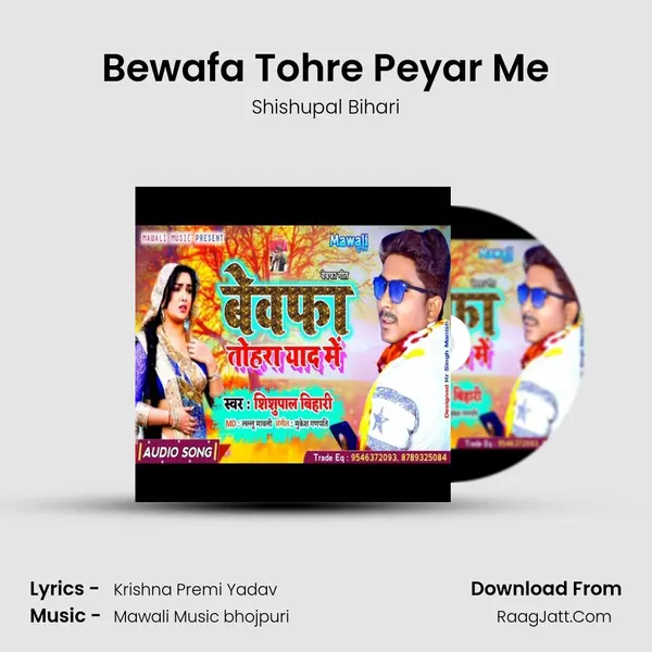 Bewafa Tohre Peyar Me mp3 song