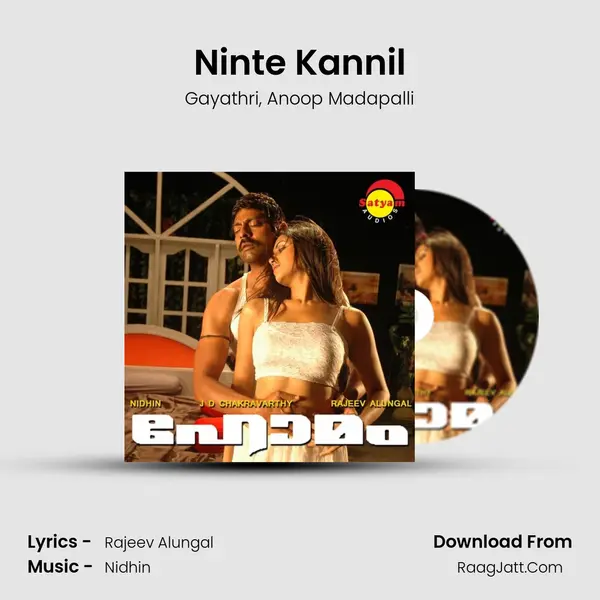 Ninte Kannil mp3 song