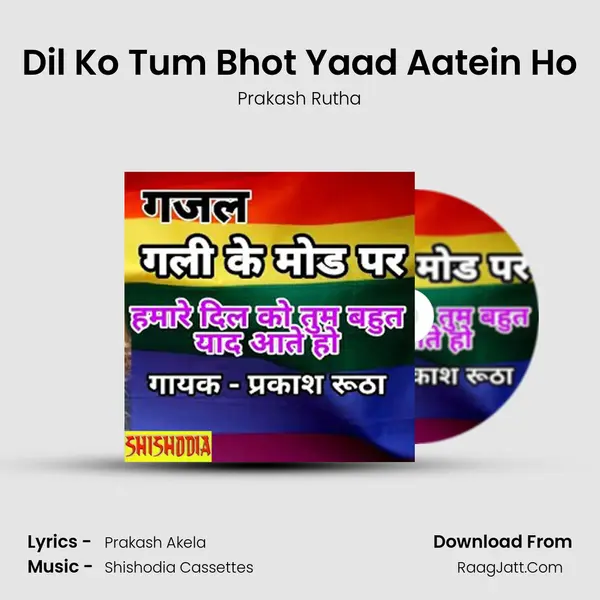 Dil Ko Tum Bhot Yaad Aatein Ho mp3 song