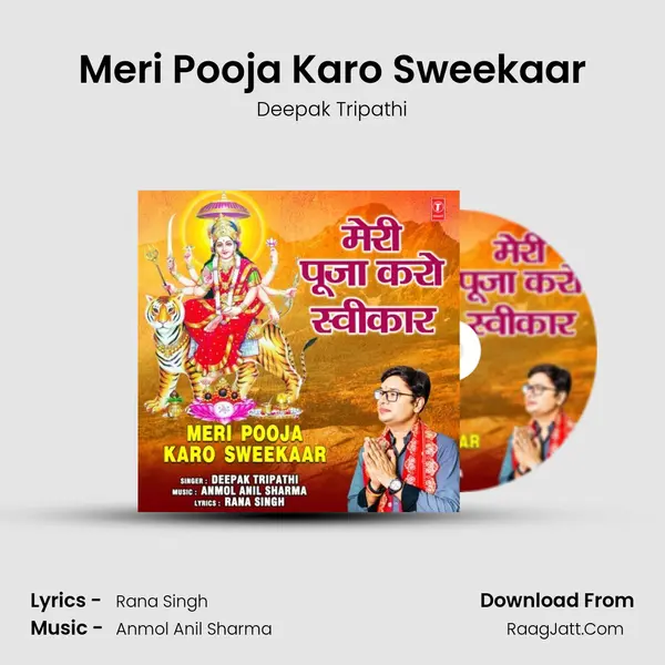 Meri Pooja Karo Sweekaar mp3 song