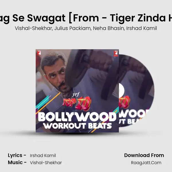 Swag Se Swagat [From - Tiger Zinda Hai] mp3 song