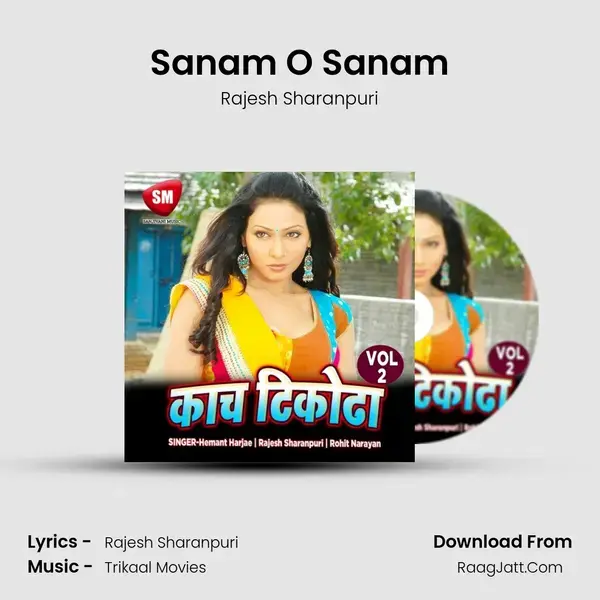 Sanam O Sanam mp3 song