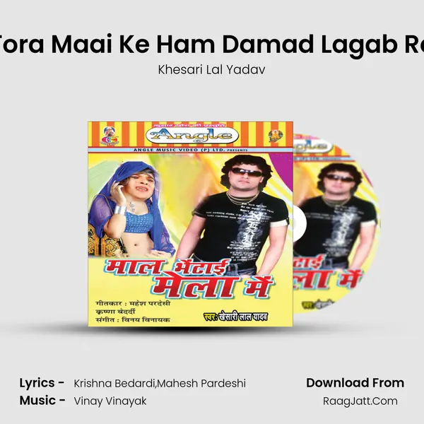 Tora Maai Ke Ham Damad Lagab Re mp3 song