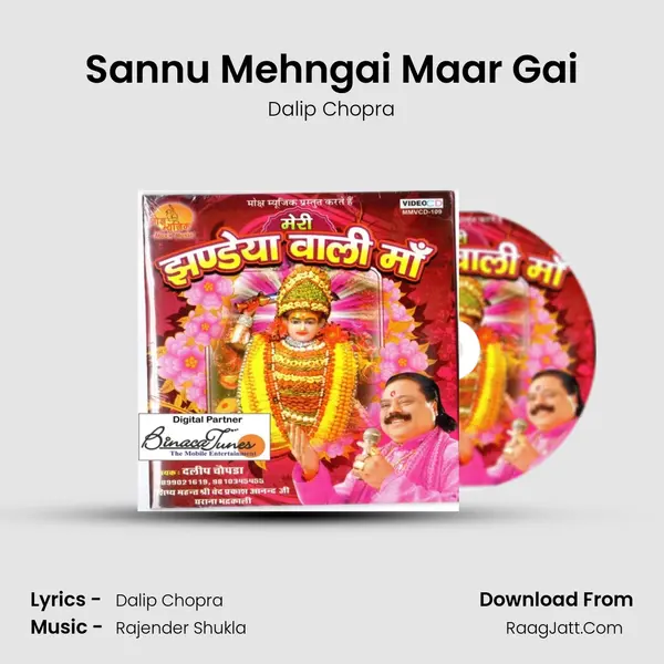 Sannu Mehngai Maar Gai Song mp3 | Dalip Chopra