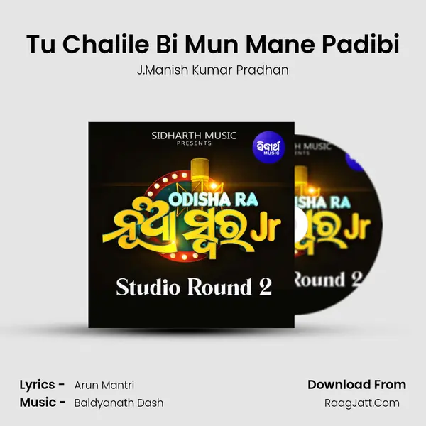 Tu Chalile Bi Mun Mane Padibi mp3 song