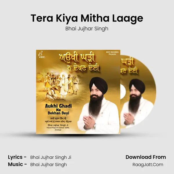 Tera Kiya Mitha Laage Song mp3 | Bhai Jujhar Singh