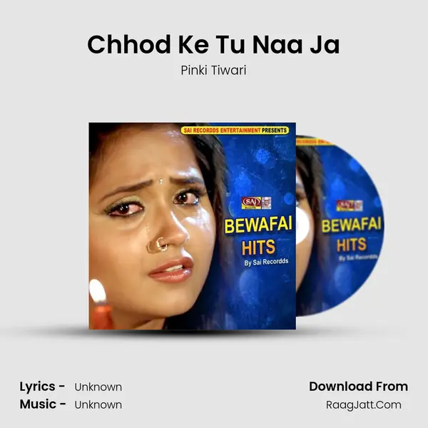 Chhod Ke Tu Naa Ja mp3 song