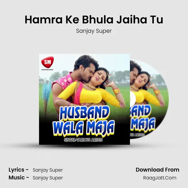 Hamra Ke Bhula Jaiha Tu mp3 song