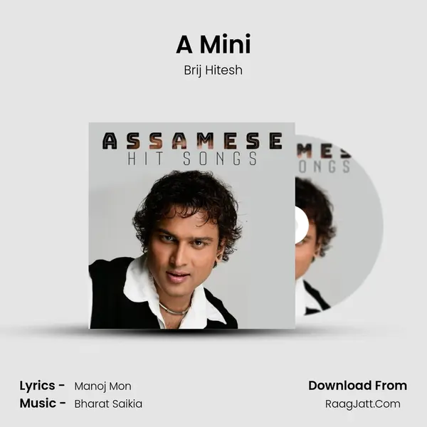 A Mini Song mp3 | Brij Hitesh