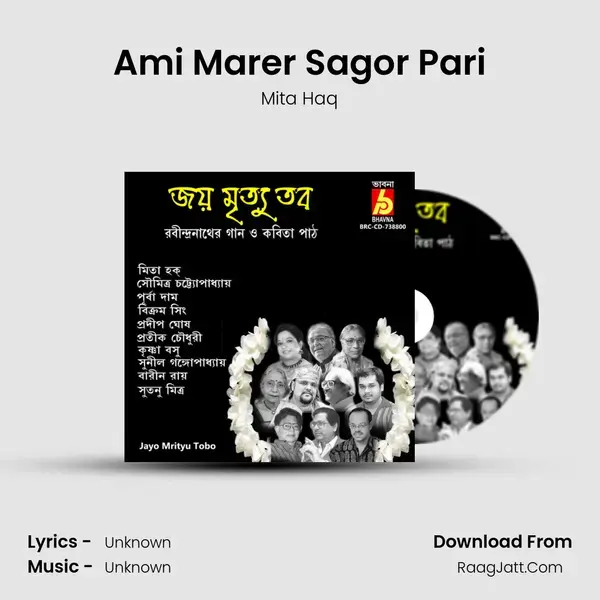 Ami Marer Sagor Pari mp3 song