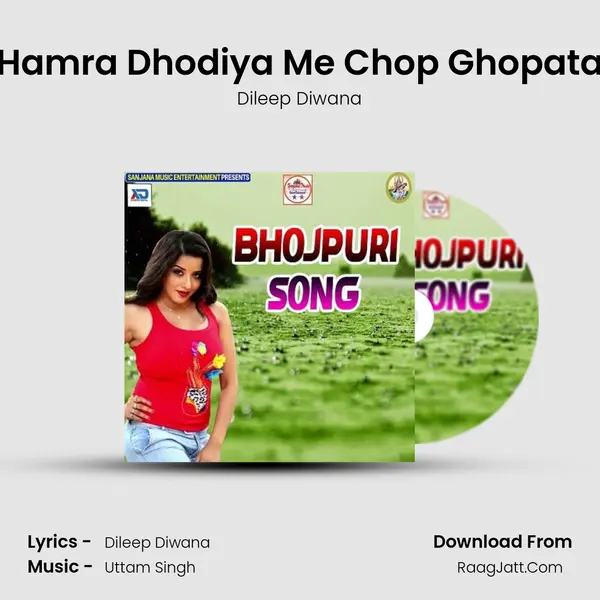 Hamra Dhodiya Me Chop Ghopata Song mp3 | Dileep Diwana