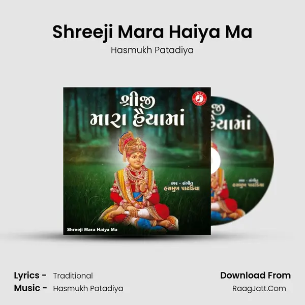 Shreeji Mara Haiya Ma mp3 song