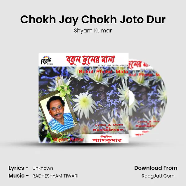 Chokh Jay Chokh Joto Dur mp3 song