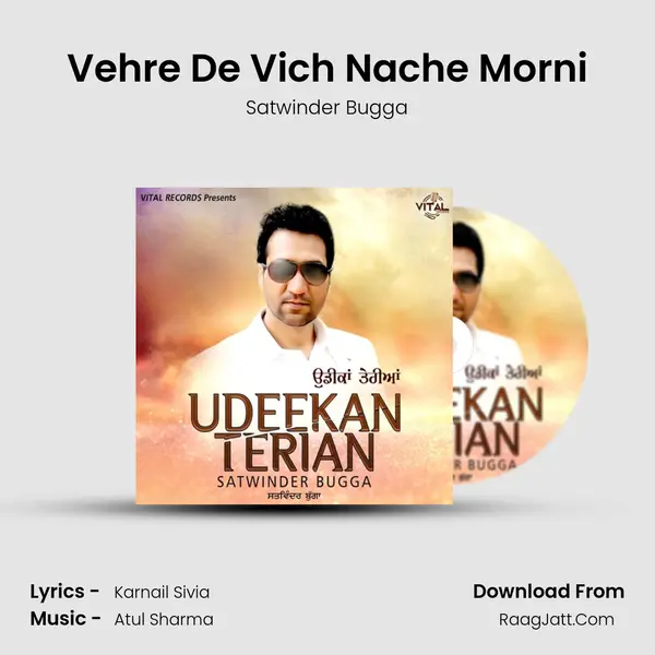 Vehre De Vich Nache Morni mp3 song